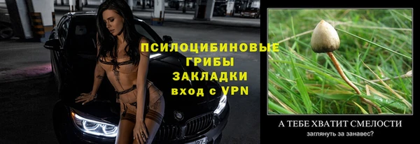амф Сосновый Бор