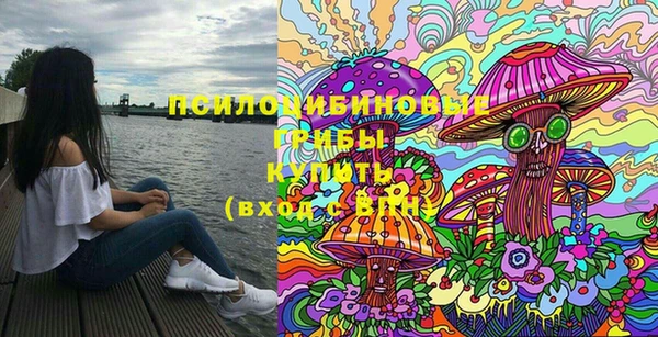 мдпв Новозыбков