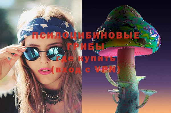 мдпв Новозыбков