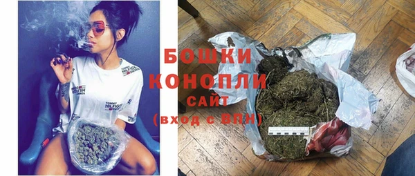 мдпв Новозыбков