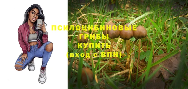 амф Сосновый Бор
