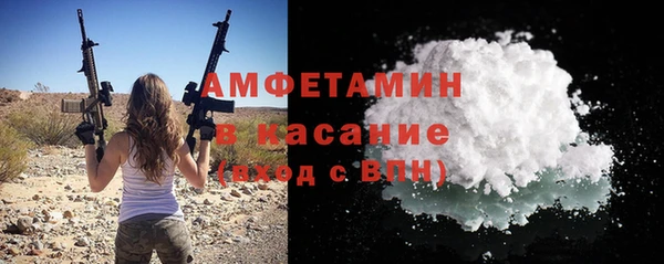 мдпв Новозыбков