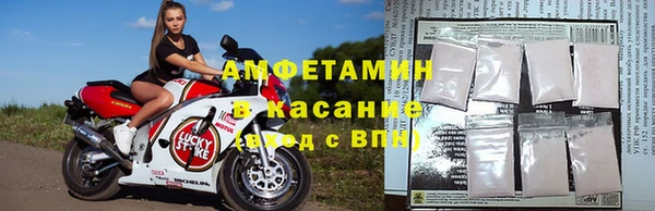 амф Сосновый Бор