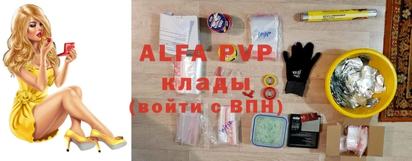 мдпв Новозыбков