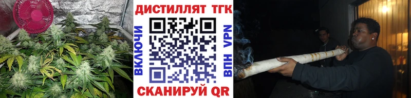 продажа наркотиков  Алейск  ТГК THC oil 