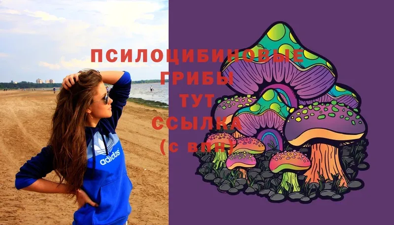 Галлюциногенные грибы мухоморы  наркотики  KRAKEN ССЫЛКА  Алейск 