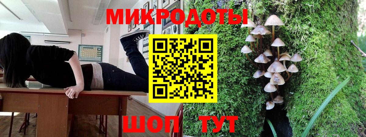 Псилоцибиновые грибы Psilocybine cubensis Алейск