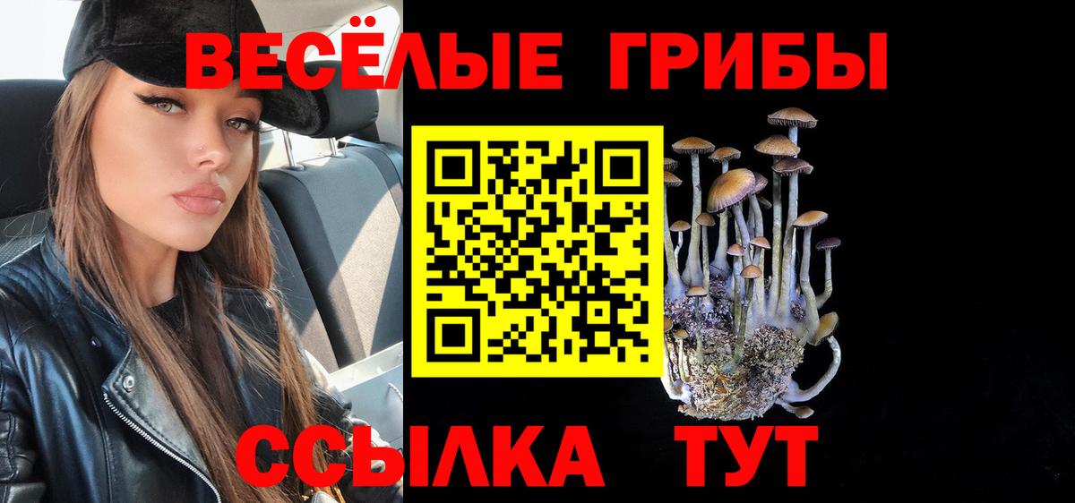 купить наркоту  Алейск  Галлюциногенные грибы мухоморы 