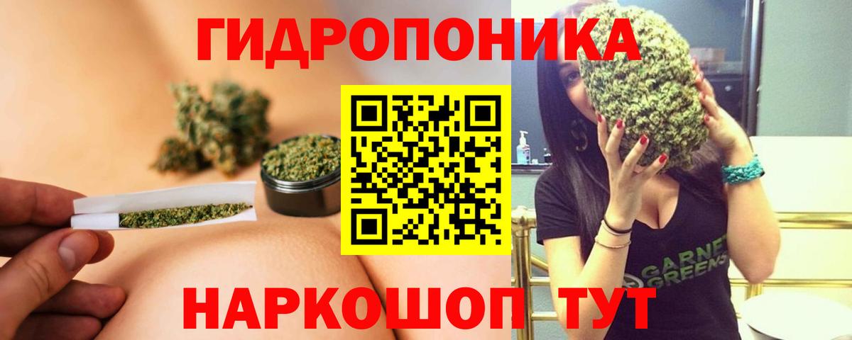 Конопля план Алейск